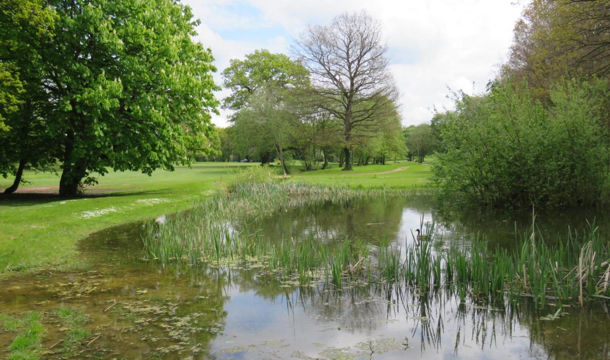 Manor Of Groves Hotel, Golf & Health Club Sawbridgeworth Bagian luar foto
